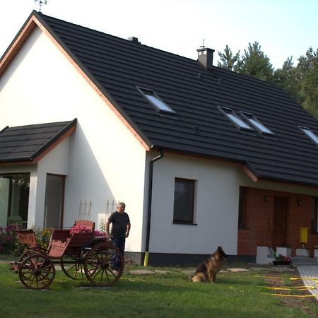 Koci Grzbiet Agroturystyka Dzierzazno Wielkie Bagian luar foto