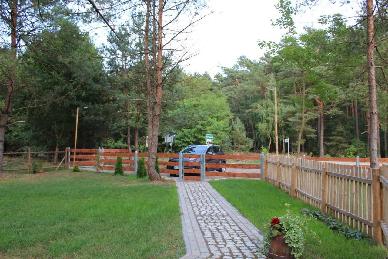 Koci Grzbiet Agroturystyka Dzierzazno Wielkie Bagian luar foto