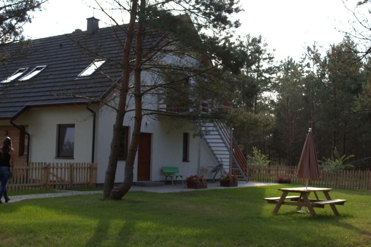 Koci Grzbiet Agroturystyka Dzierzazno Wielkie Bagian luar foto