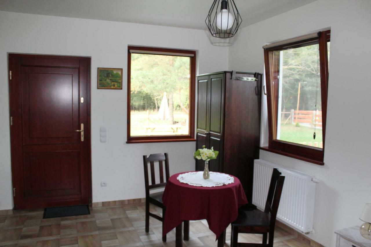 Koci Grzbiet Agroturystyka Dzierzazno Wielkie Bagian luar foto