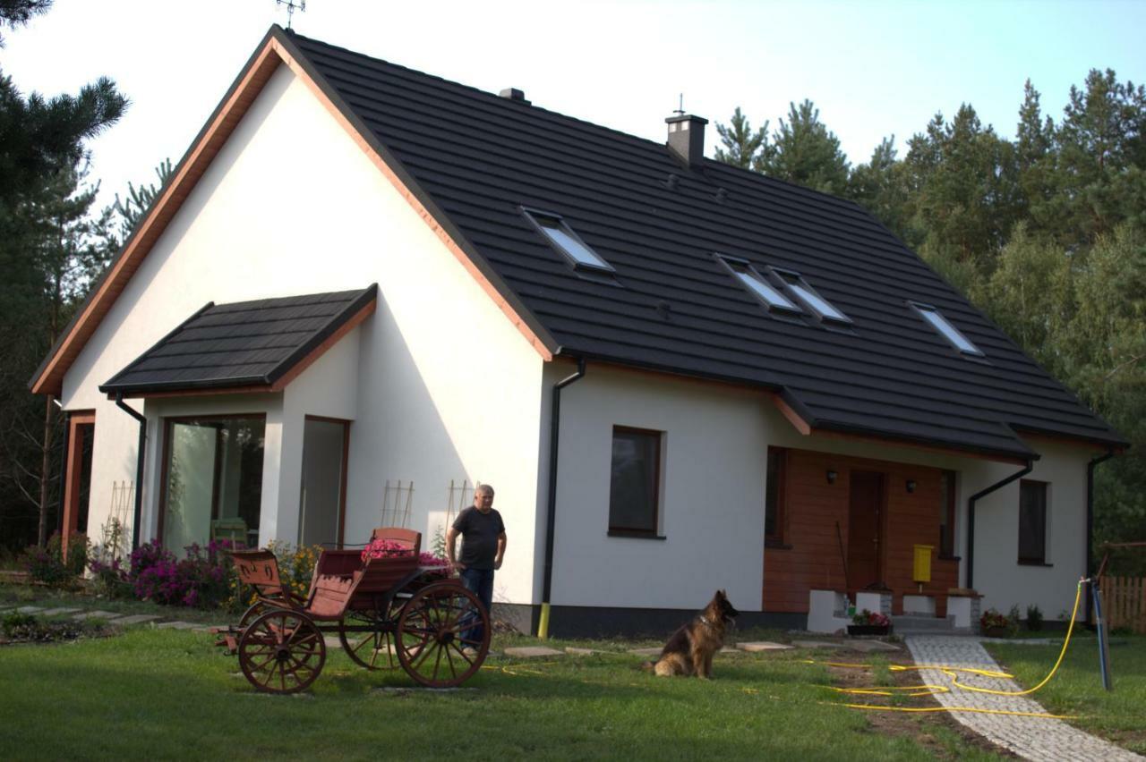 Koci Grzbiet Agroturystyka Dzierzazno Wielkie Bagian luar foto