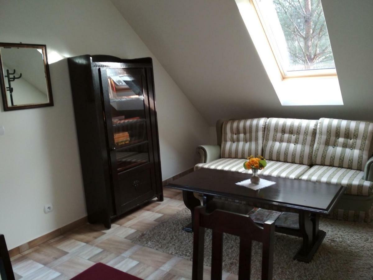 Koci Grzbiet Agroturystyka Dzierzazno Wielkie Bagian luar foto