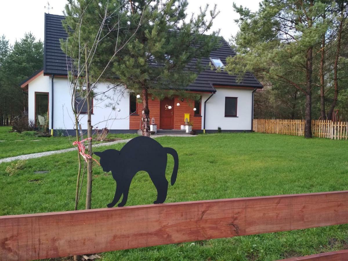 Koci Grzbiet Agroturystyka Dzierzazno Wielkie Bagian luar foto