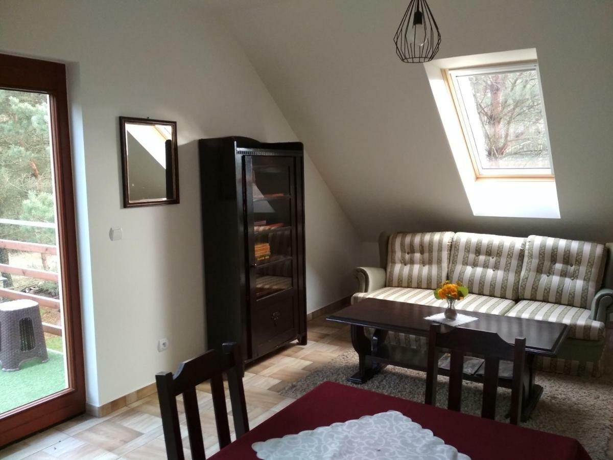 Koci Grzbiet Agroturystyka Dzierzazno Wielkie Bagian luar foto
