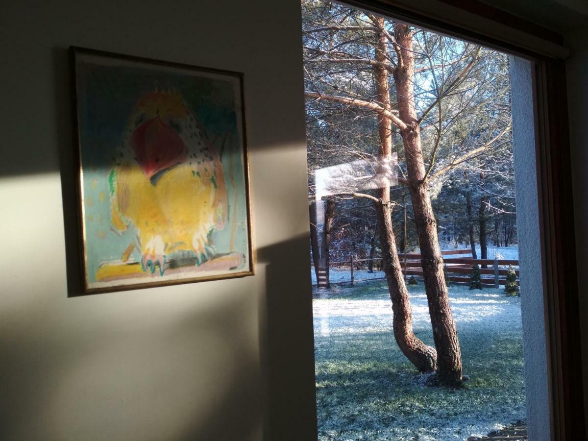 Koci Grzbiet Agroturystyka Dzierzazno Wielkie Bagian luar foto