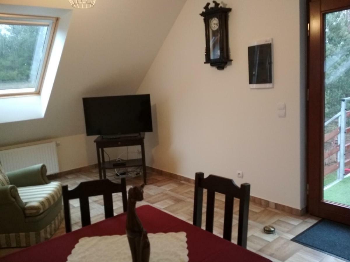 Koci Grzbiet Agroturystyka Dzierzazno Wielkie Bagian luar foto