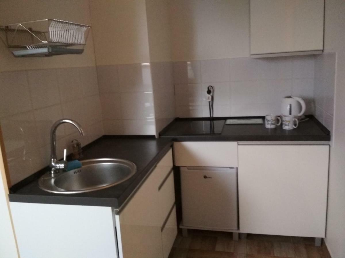 Koci Grzbiet Agroturystyka Dzierzazno Wielkie Bagian luar foto