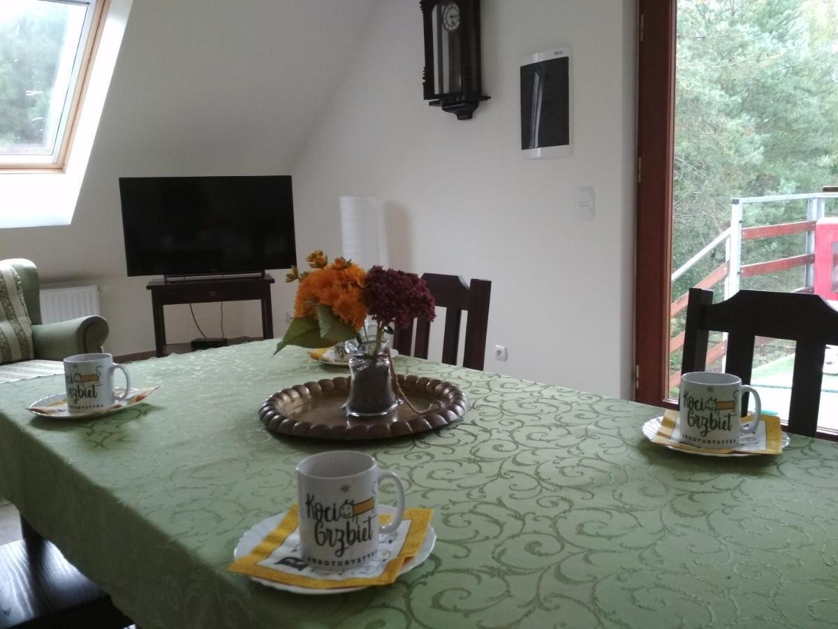 Koci Grzbiet Agroturystyka Dzierzazno Wielkie Bagian luar foto