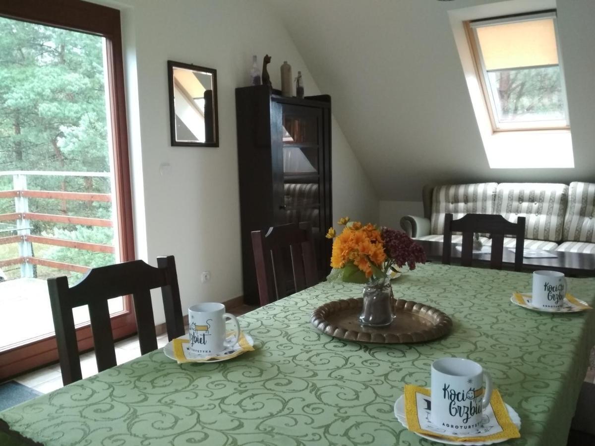 Koci Grzbiet Agroturystyka Dzierzazno Wielkie Bagian luar foto